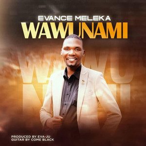 Wawunami (Wabodza) cover
